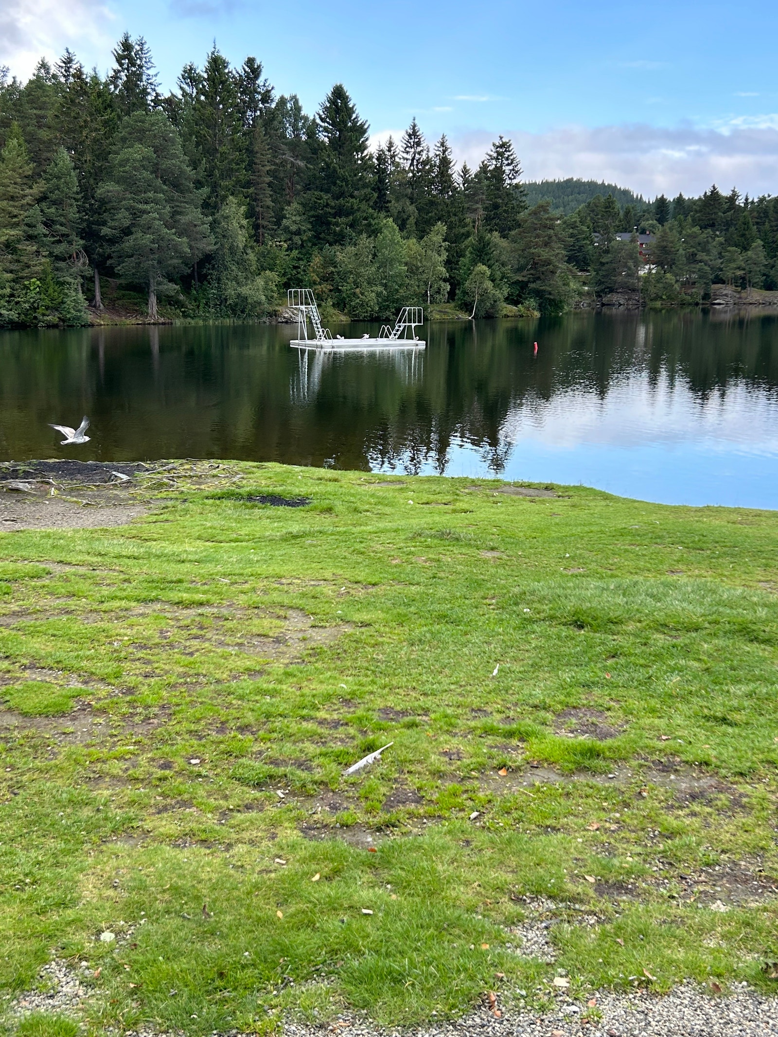 Kyvannet Galleribilde