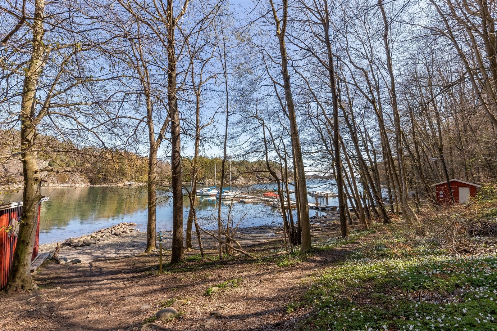 Nærområdet Galleribilde