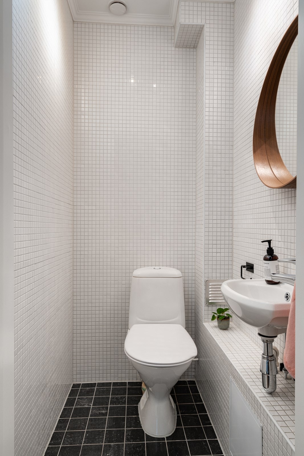 Separat toalettrom med klosett, servant og speil. Galleribilde