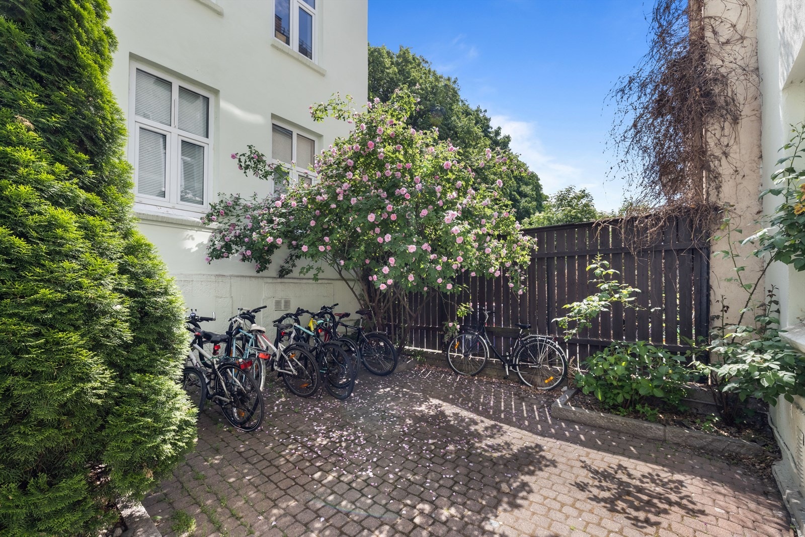 Praktisk sykkelparkering finnes også i bakgården. Galleribilde