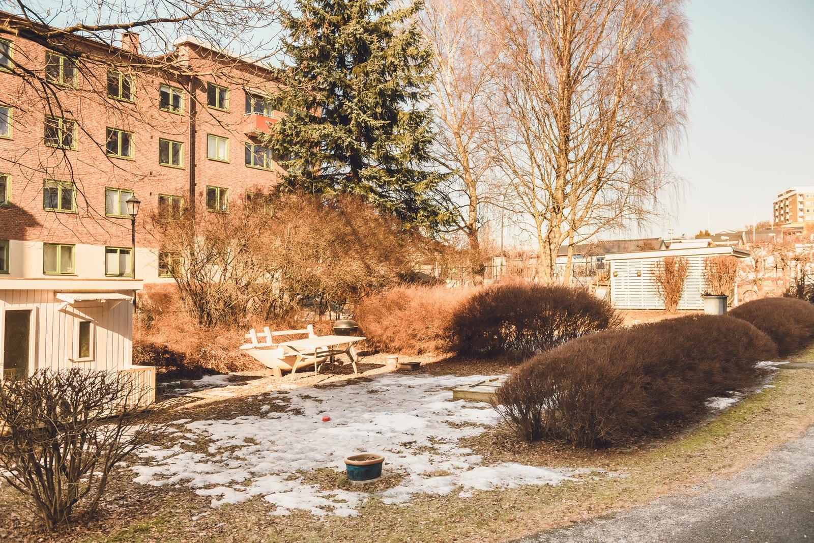 Hyggelig felleshage med plen og beplantning. Galleribilde