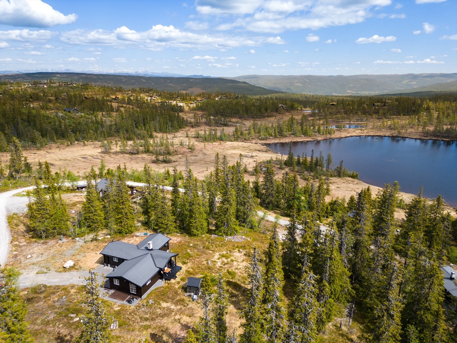 Områdebilde. Galleribilde