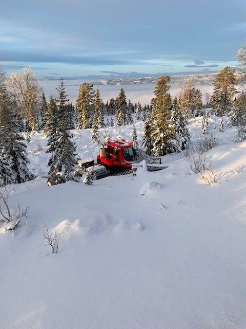 Bilde fra tomt. Galleribilde