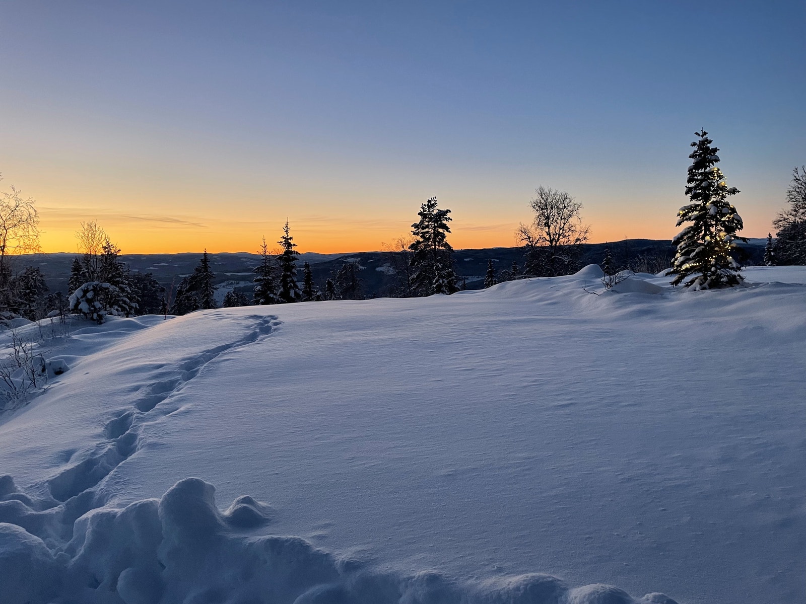 Bilde fra tomt. Galleribilde