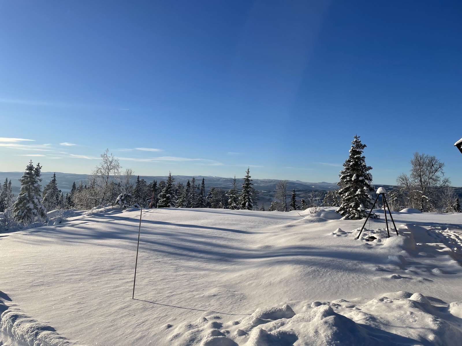 Bilde fra tomt. Galleribilde