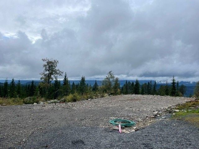 Bilde fra tomt. Galleribilde