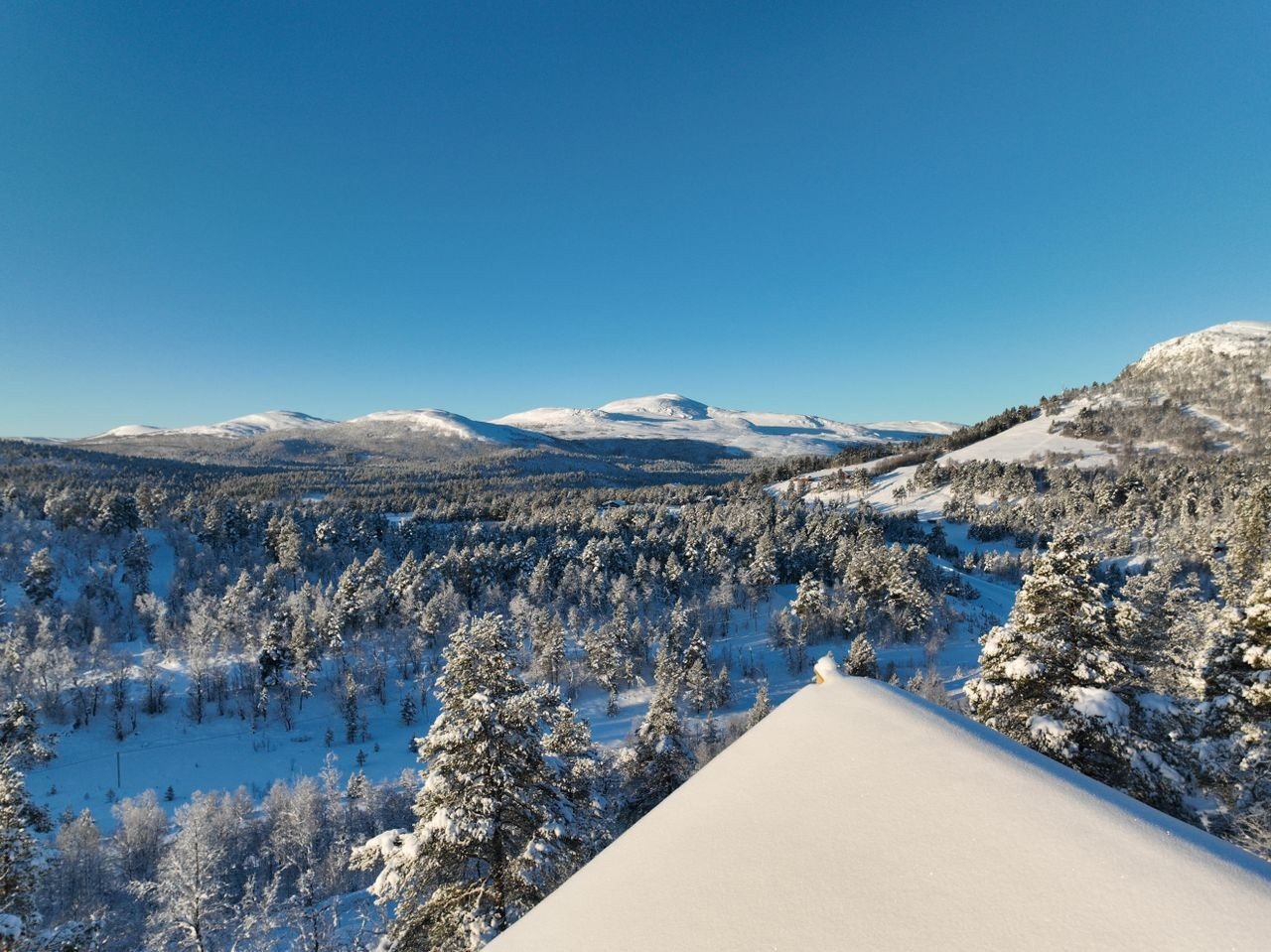 Utsikt fra tomten. Galleribilde