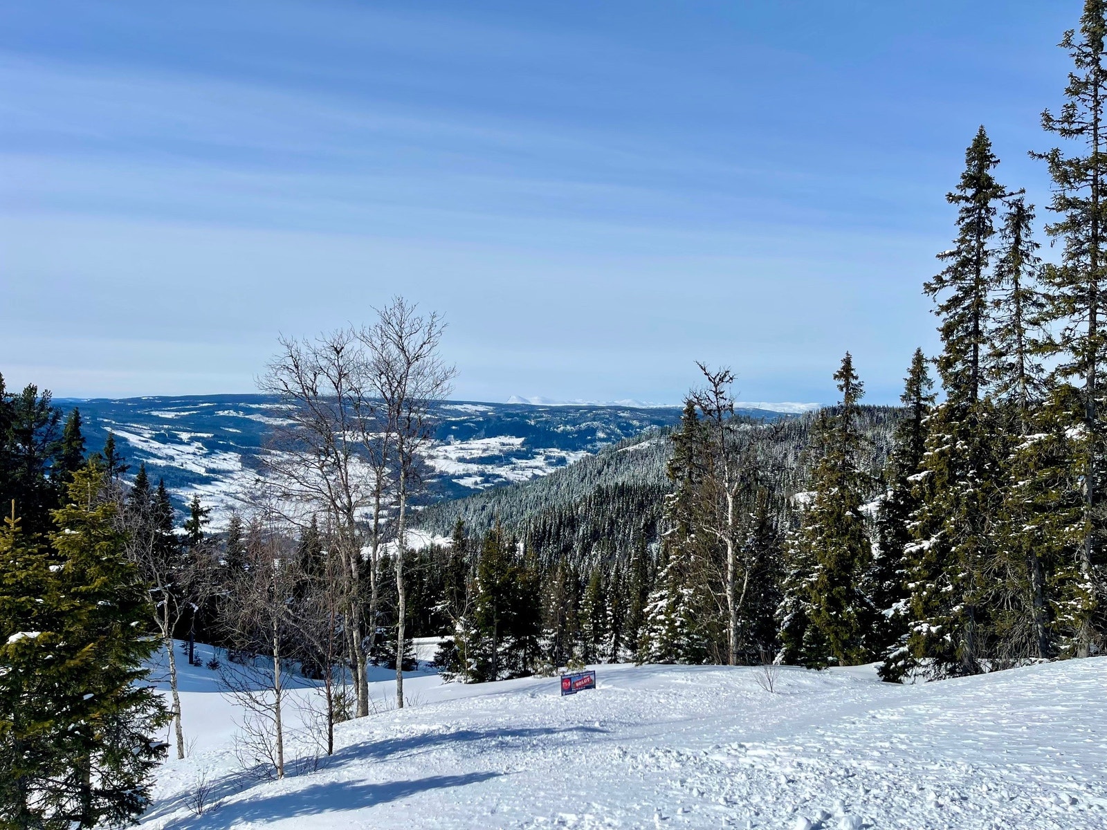 Utsikt fra tomta mot vest Galleribilde