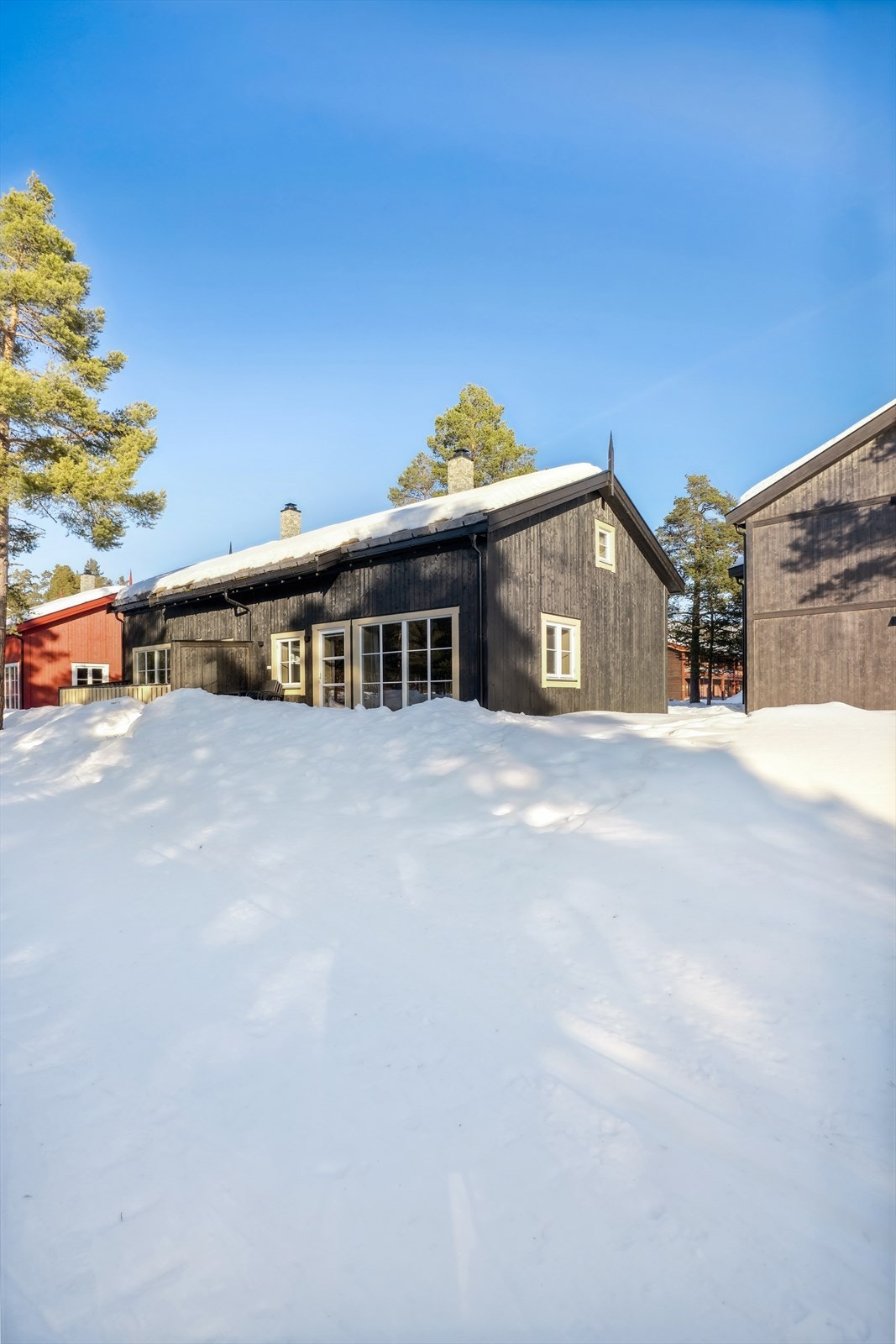 Savalen kan friste med snøsikre vinterforhold Galleribilde