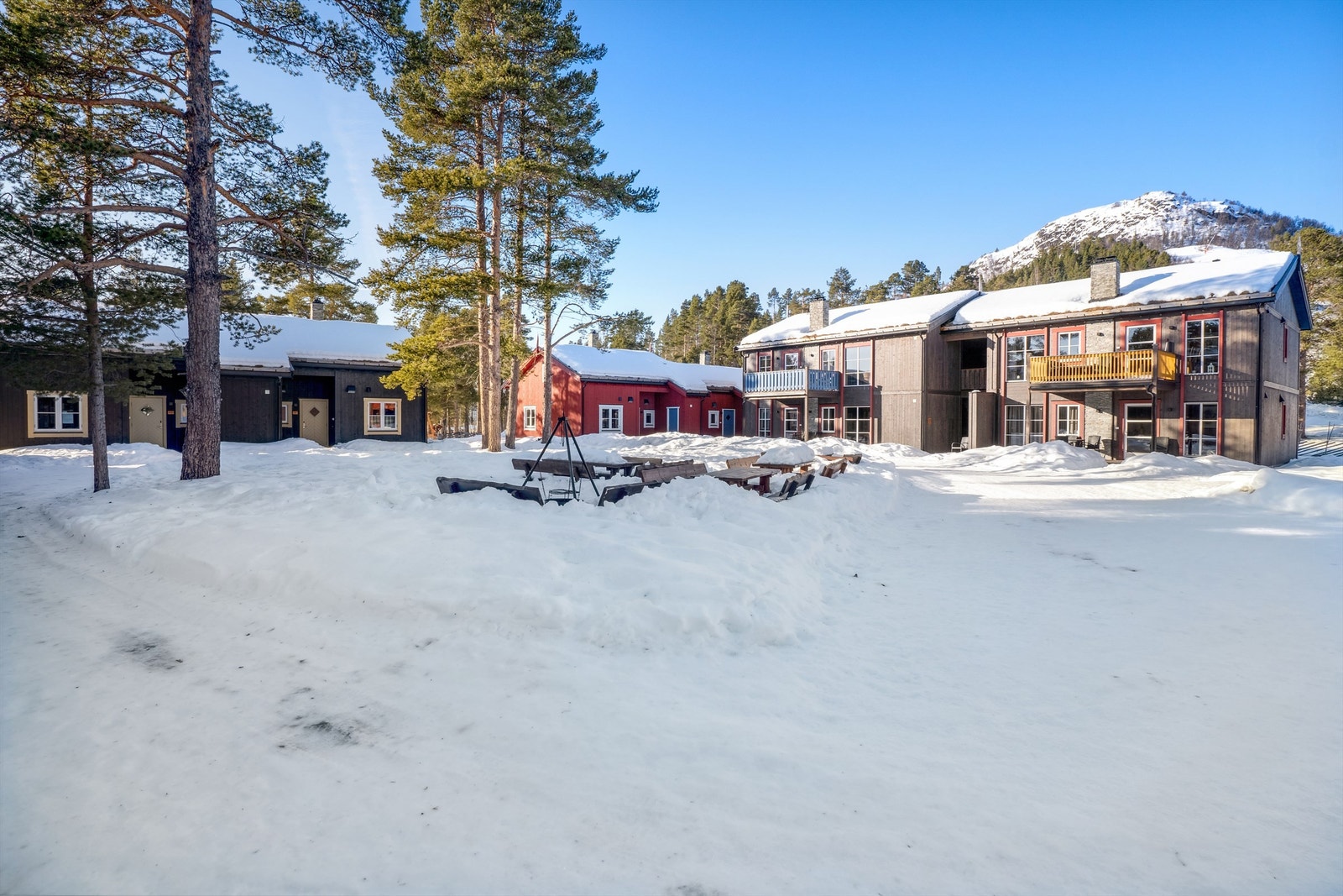 Sameiet Nissetorget Savalen - Felles tun Galleribilde