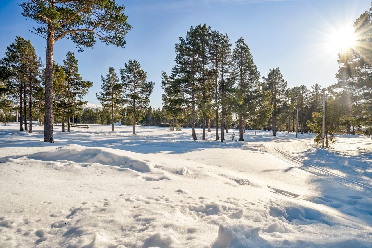 Her har du skispor rett utenfor døra Galleribilde