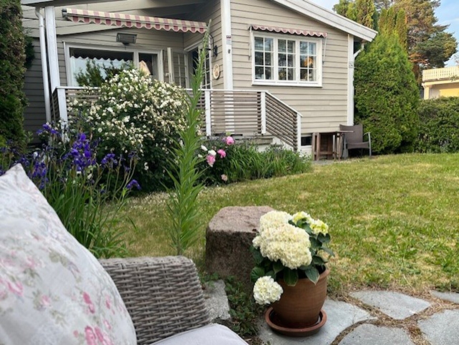 Sommerbilde fra selger Galleribilde