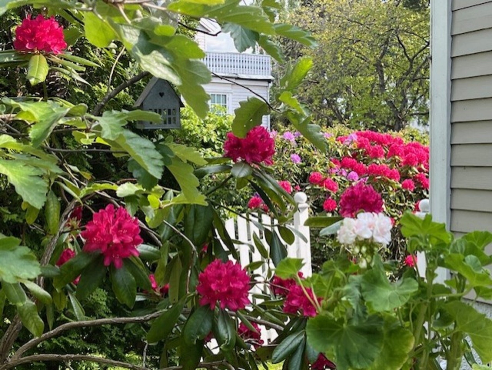 Sommerbilde stemning fra selger Galleribilde