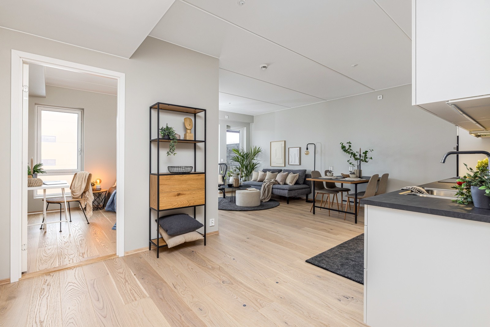 MNIL4138 Galleribilde