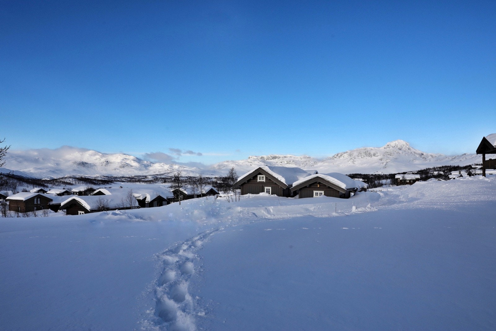 Tomten ligger ca 984 moh. Bitihorn er fjellets blikkfang Galleribilde