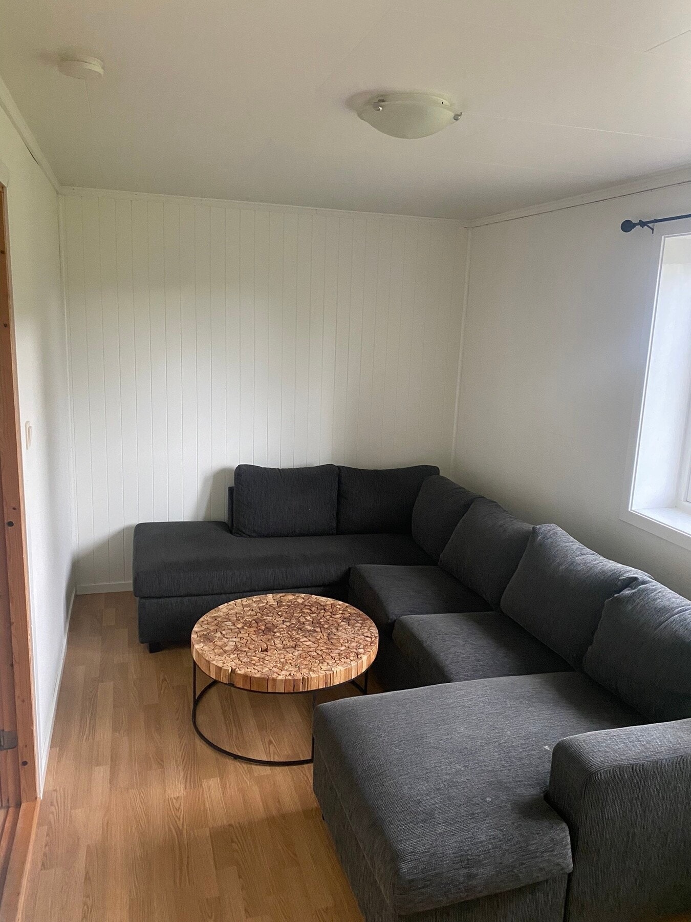 Hybel. Stue/soverom - 11,5 kvm Galleribilde