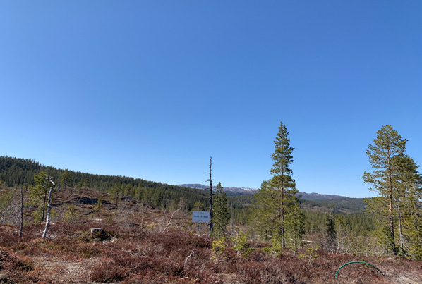 Tomten er på 1349 kvm, så her kan man boltre seg Galleribilde