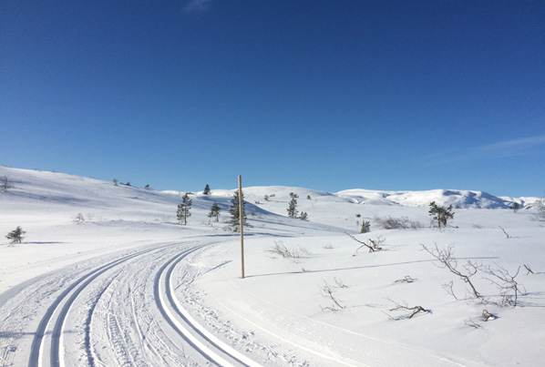Fantastiske skiforhold med gode løyper Galleribilde