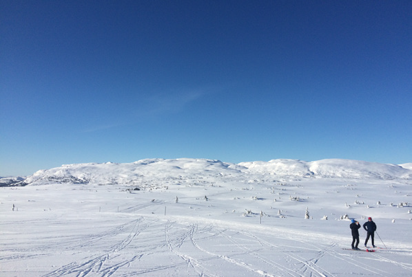På fjellet er det enda flere muligheter med langrennsløper Galleribilde