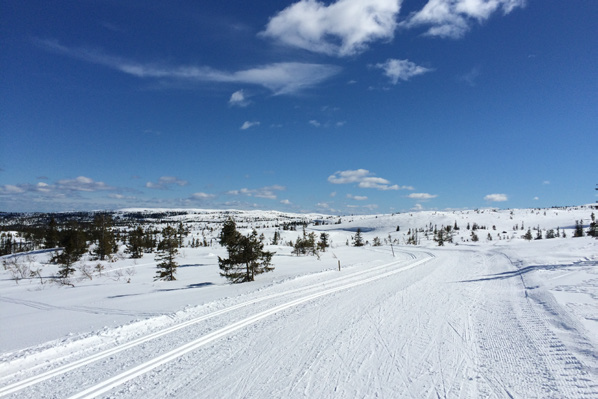 Hvis dette ikke gir påskestemning vet ikke jeg Galleribilde
