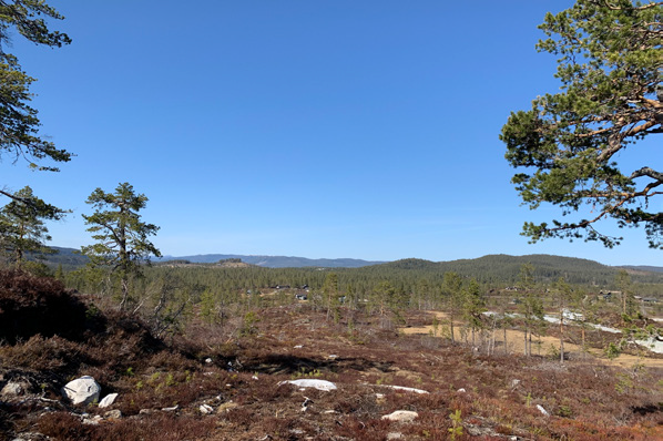 VELKOMMEN TIL FAGERGJELLFLATA 24 Galleribilde