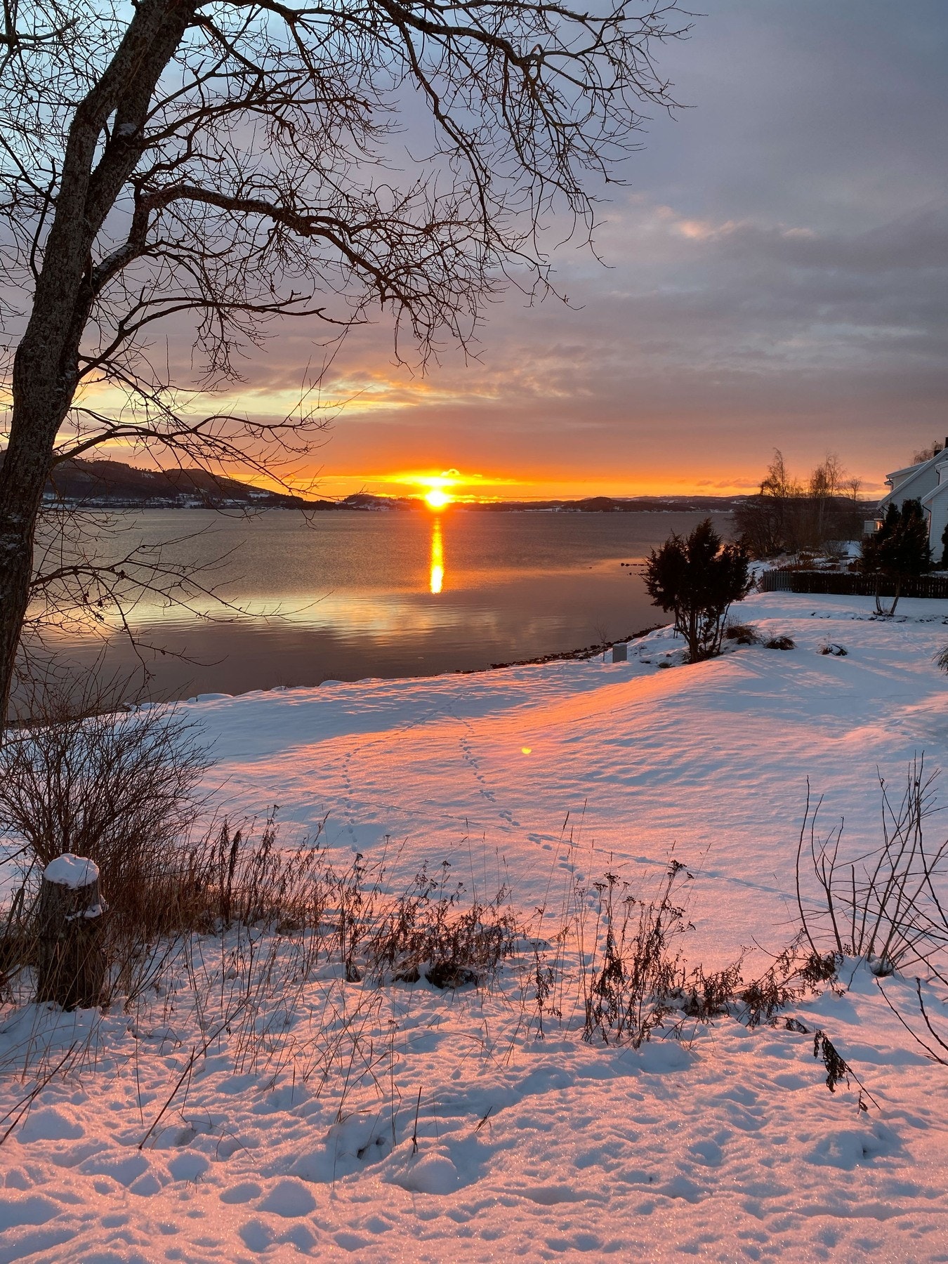 Selgers bilde av vakker solnedgang Galleribilde