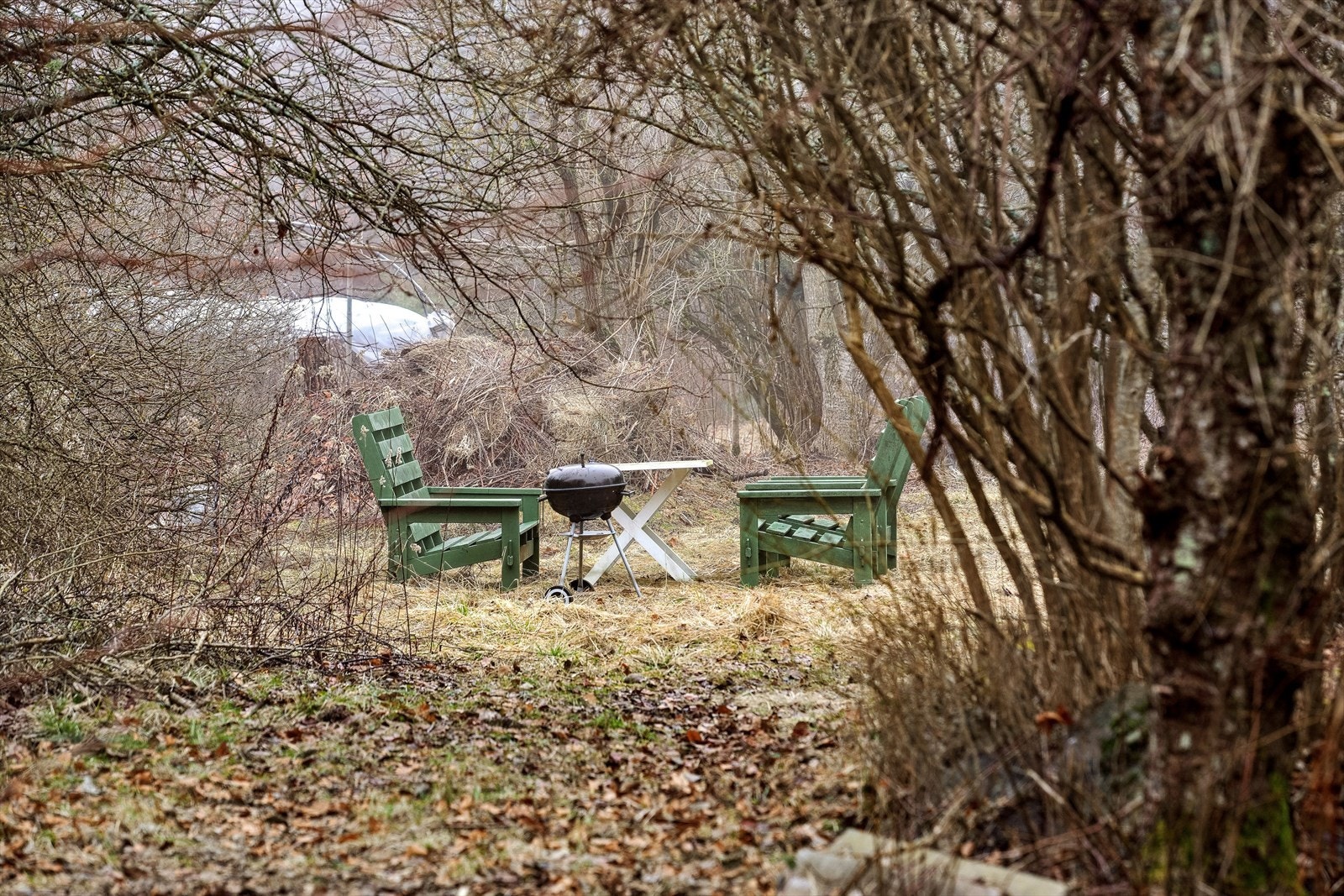 Tomten er frodig og beplantet med en variert flora med busker og trær fra variert vegetasjon. Galleribilde