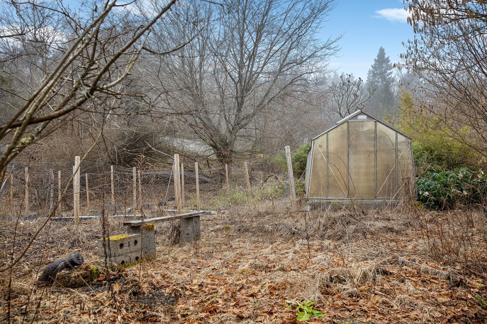 Det er plassert flere mindre drivhus på tunet. Galleribilde