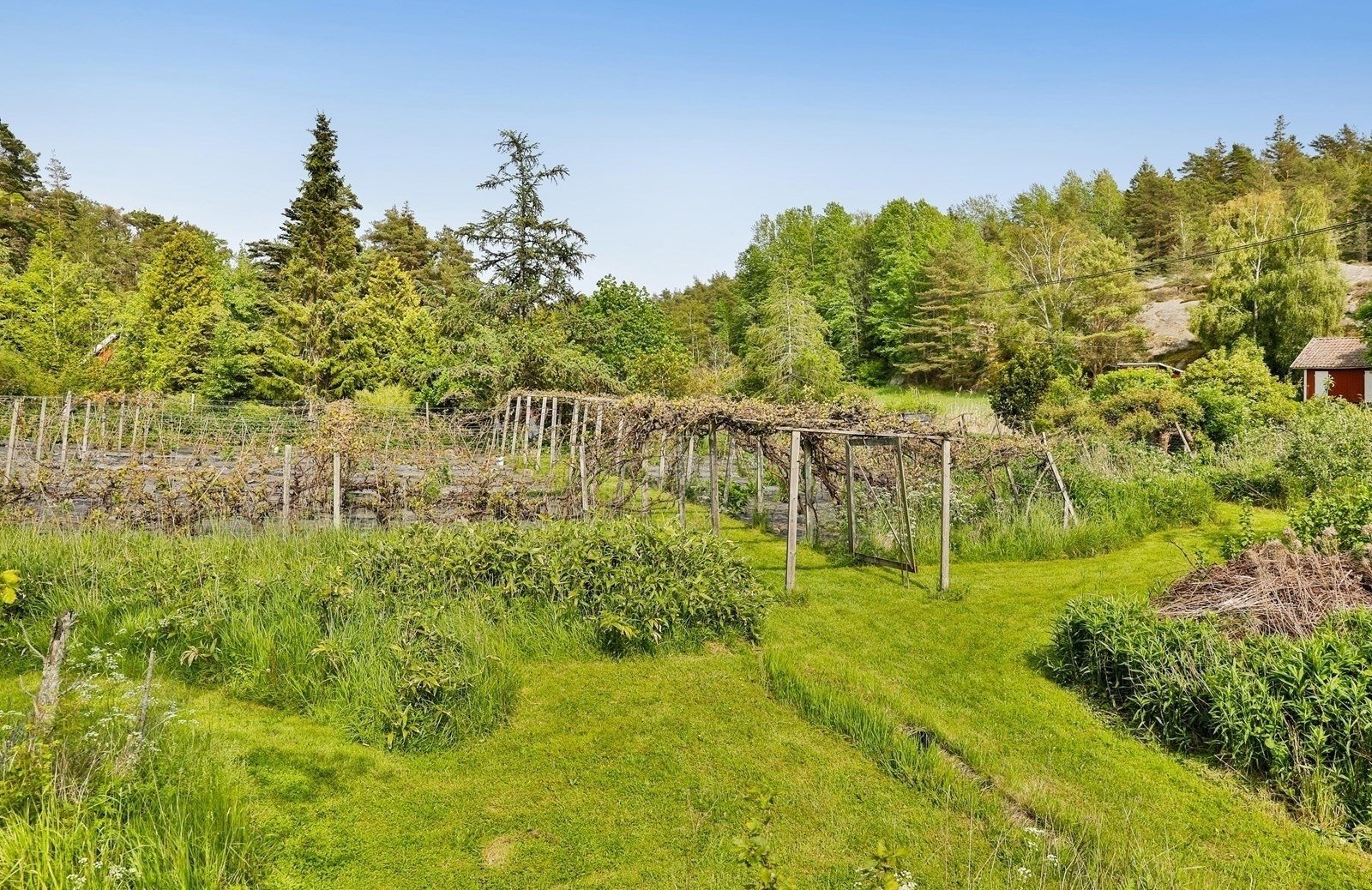 Tomten er frodig og beplantet med en variert flora med busker og trær fra store deler av verden. (FOTOetcetera AS) Galleribilde