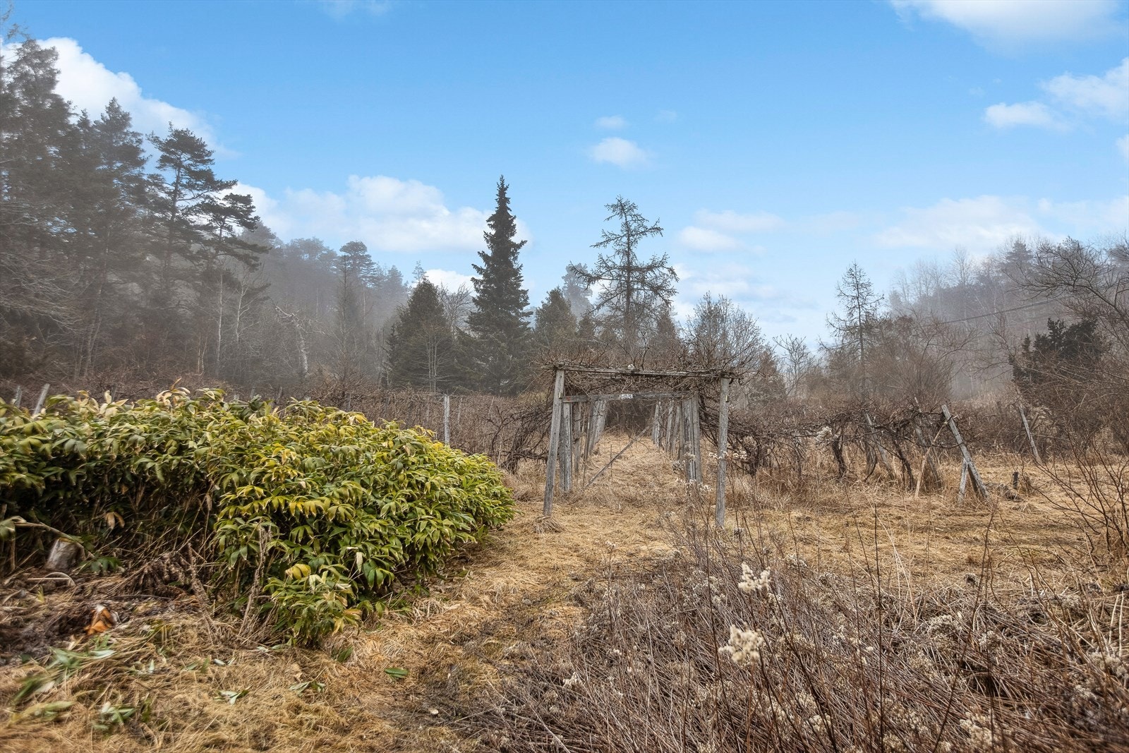 Druefelt. Galleribilde