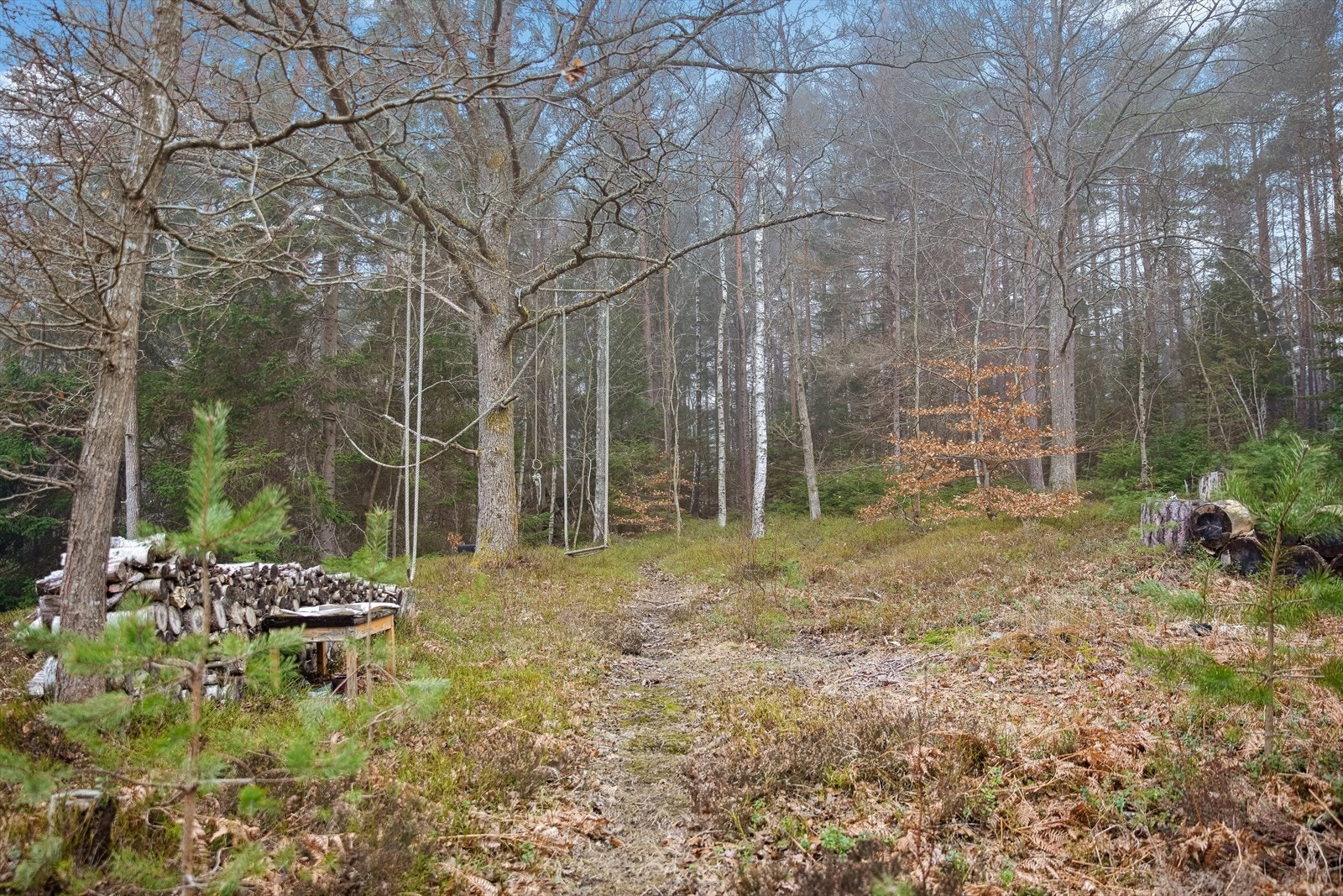 Tomten fremstår noe kupert, det er skrånende terreng mot boligen på én side. Galleribilde