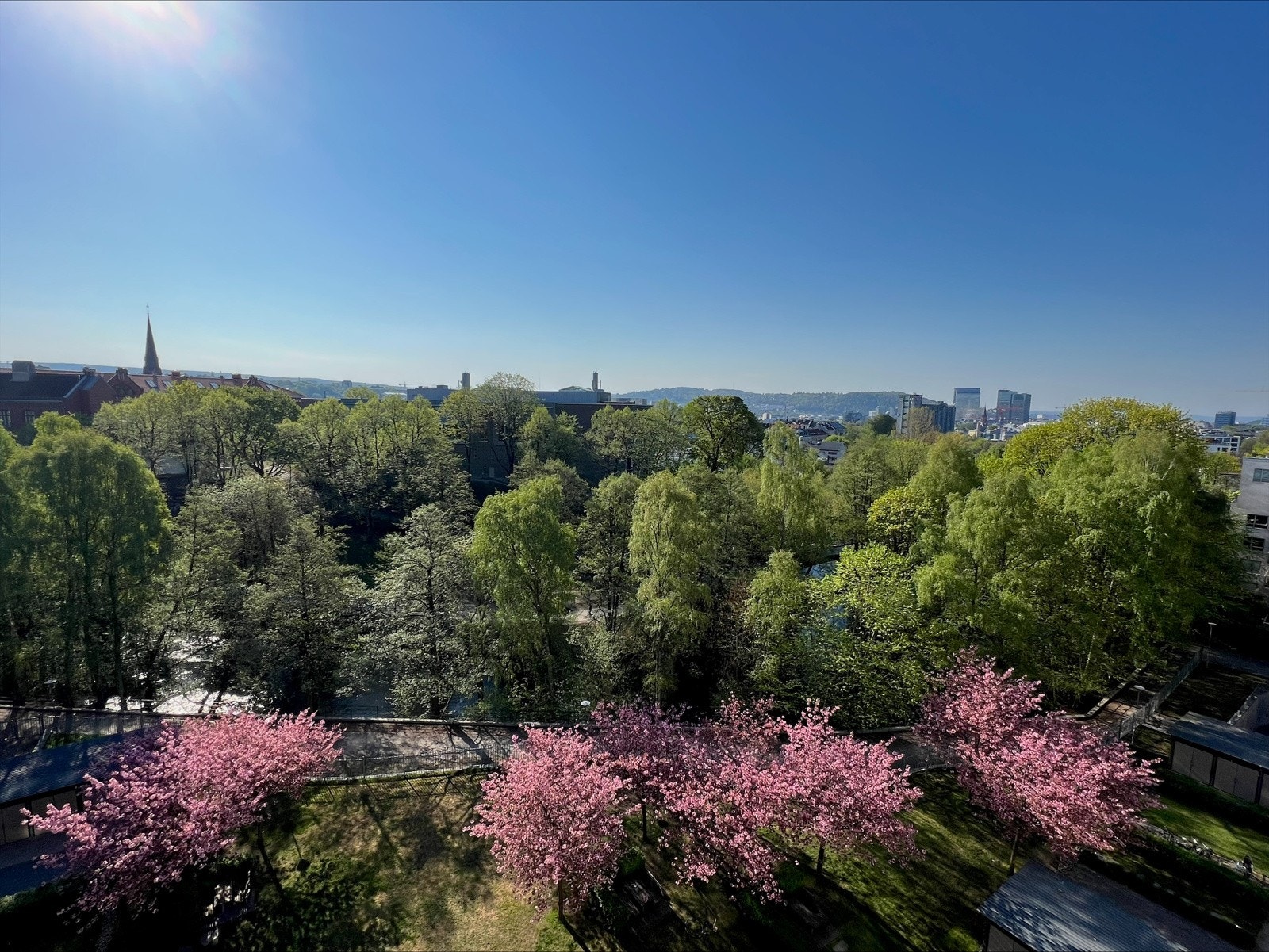 Sommerbilde tatt fra balkongen (selgers bilde). Galleribilde