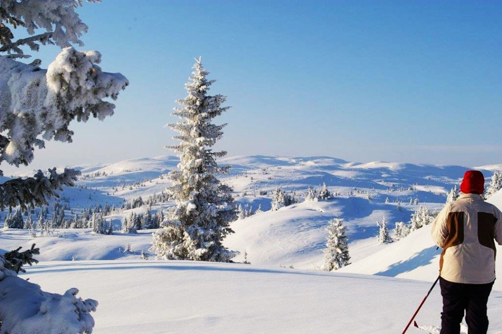 Snøsikkert område - 1000 moh. Galleribilde