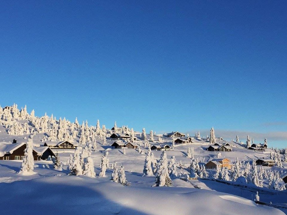 Hyttene som er oppført på Ølnesseter varierer i størrelse og utseende, og ligger på romslige tomter i et åpent og fint terreng med helling mot sør/sørøst Galleribilde