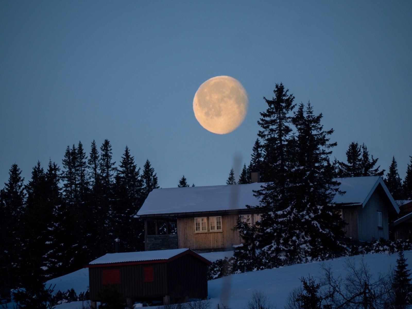 Østenfor sol, vestenfor måne... Galleribilde