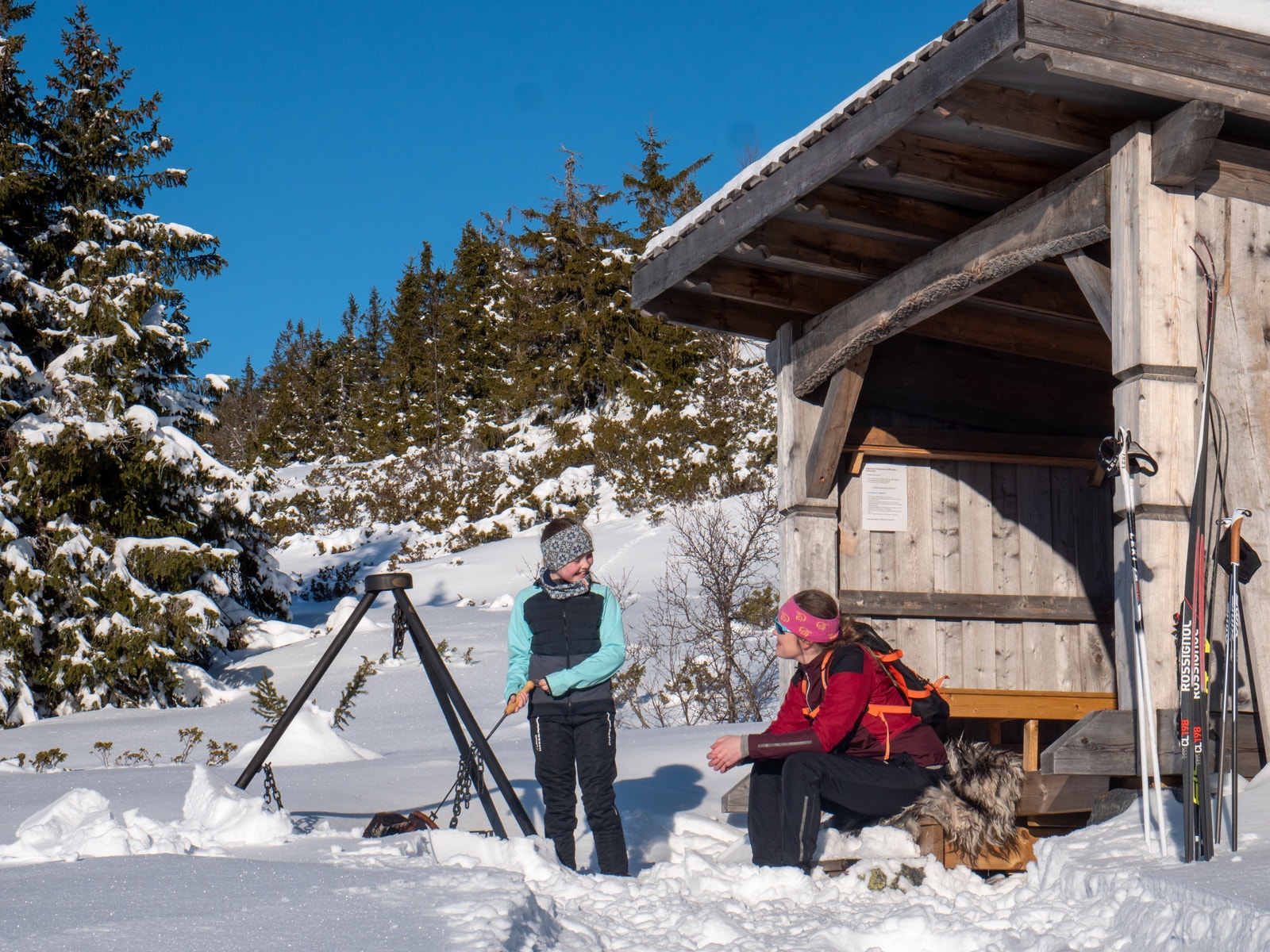 Tilrettelagt turfasiliteter Galleribilde