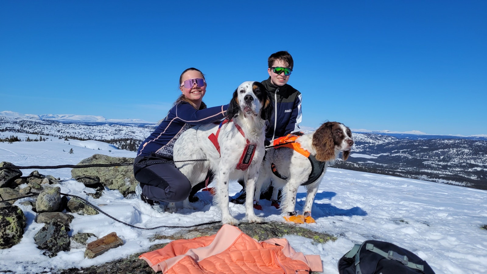 Familieidyll Galleribilde