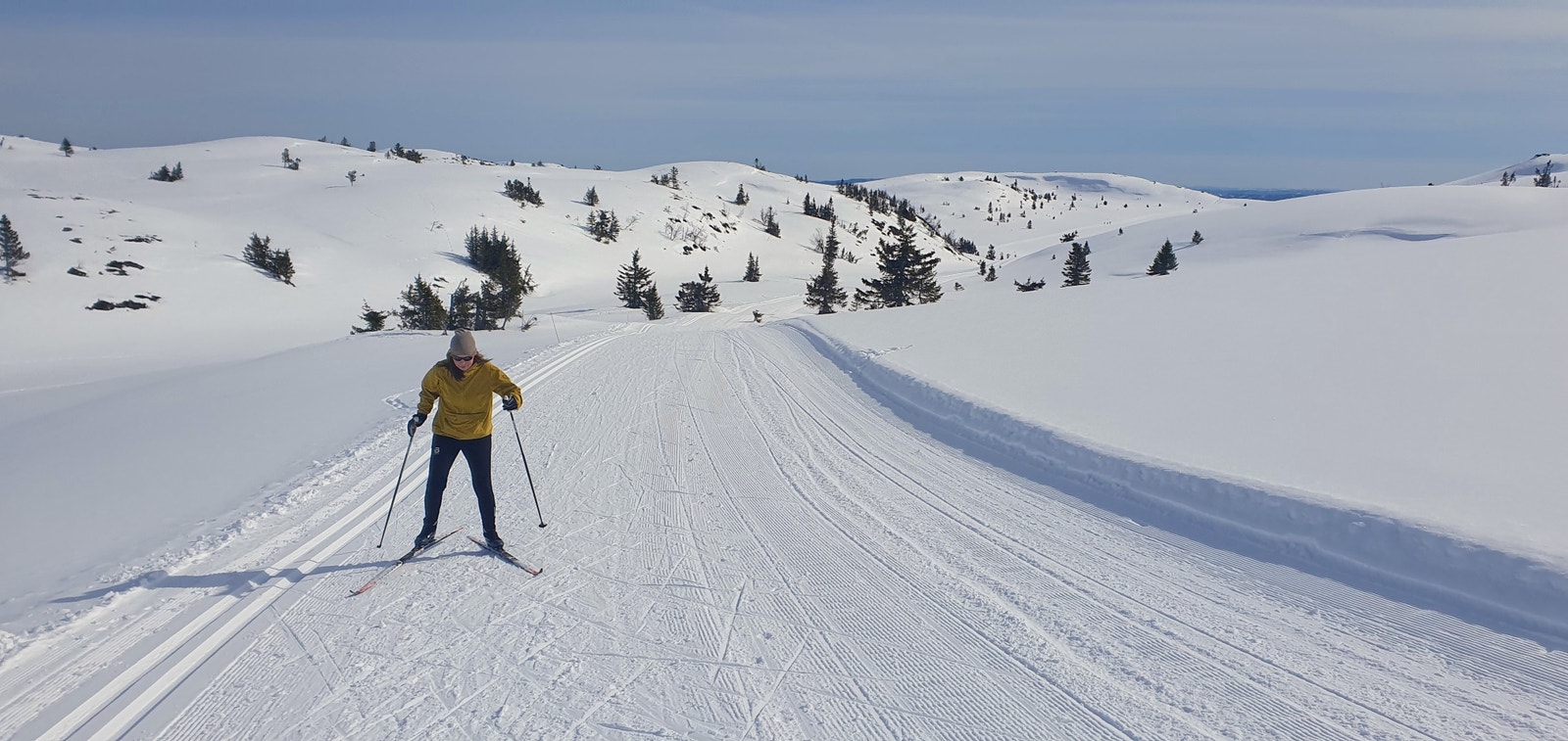 Mil etter mil med skiløyper - både på høyfjell og i skogsterreng Galleribilde