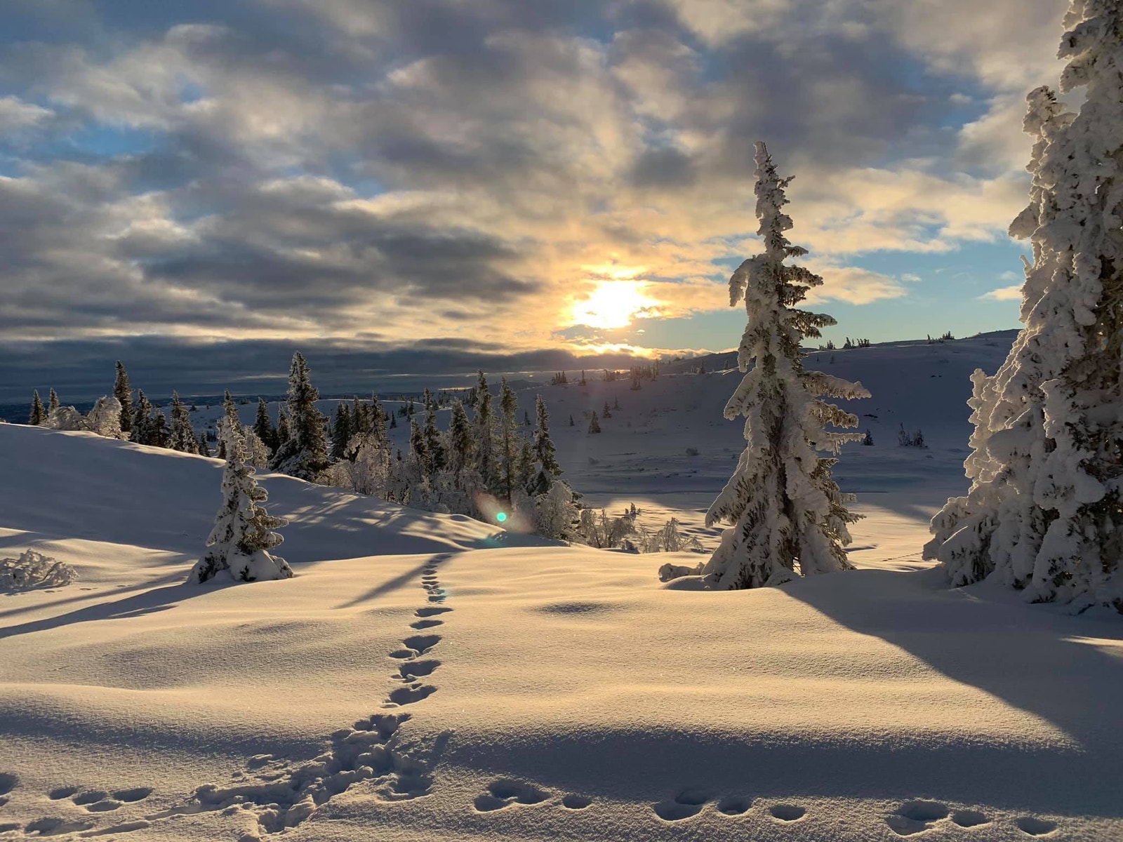 Ølnesseter er kjent for sine vakre solnedganger. Soloppgangene er like vakre. Galleribilde