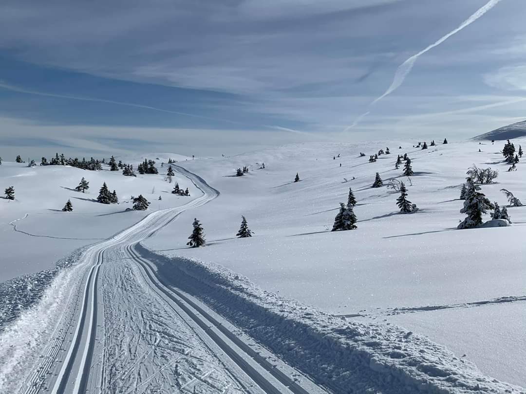 Noen som bestilte trikkeskinner? Galleribilde