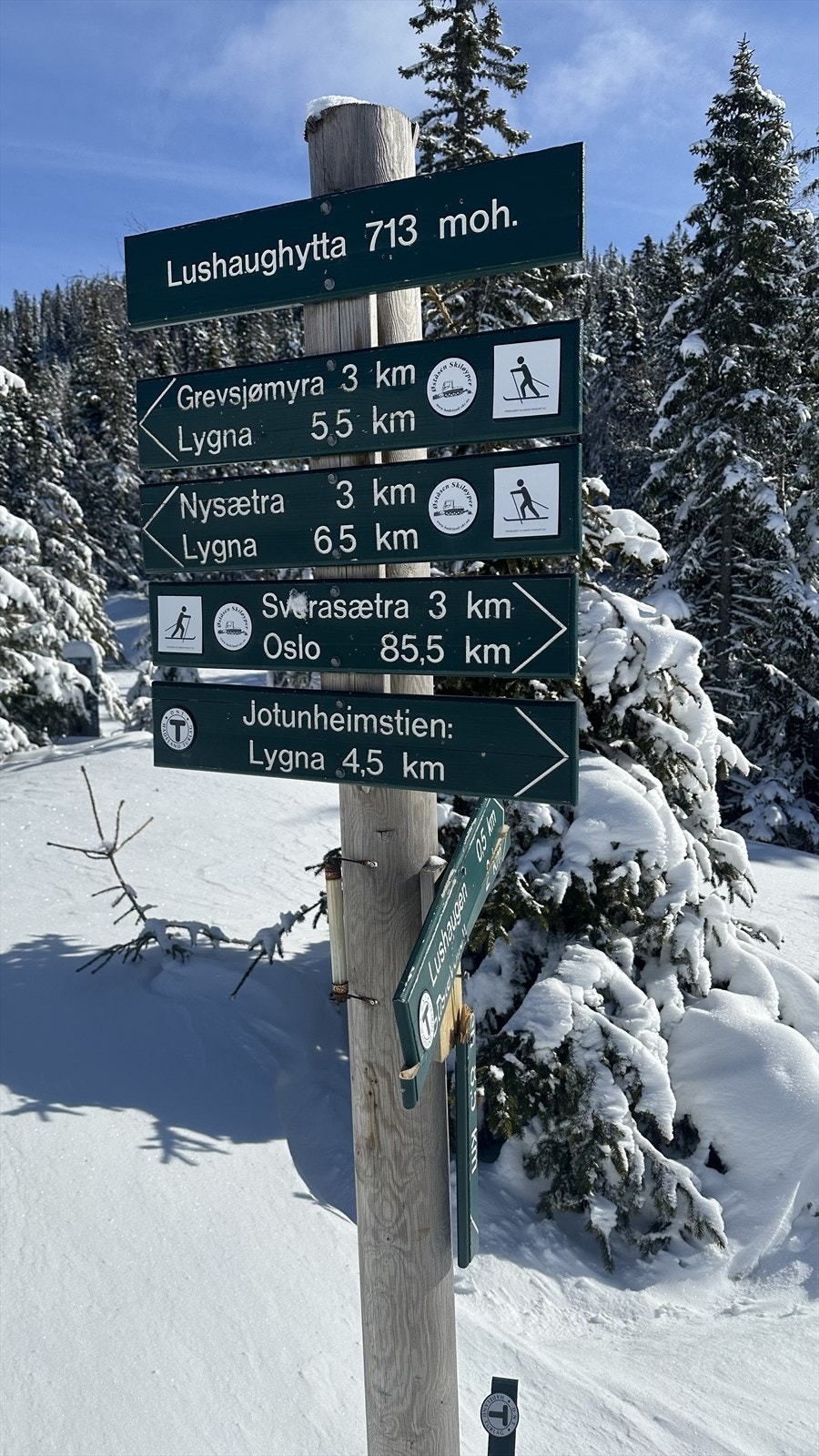 IMG_7863.jpg Galleribilde