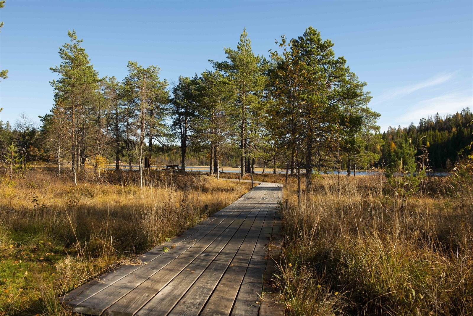 Høsten er også flott på Lygna! Galleribilde
