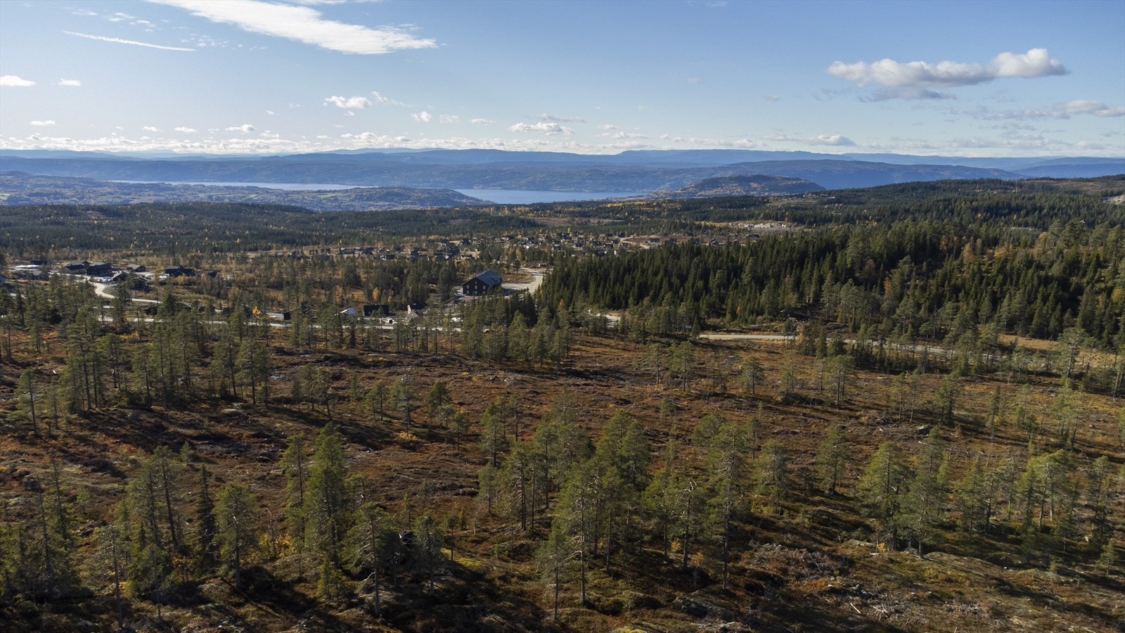 Sommer/høstbilde over området Galleribilde