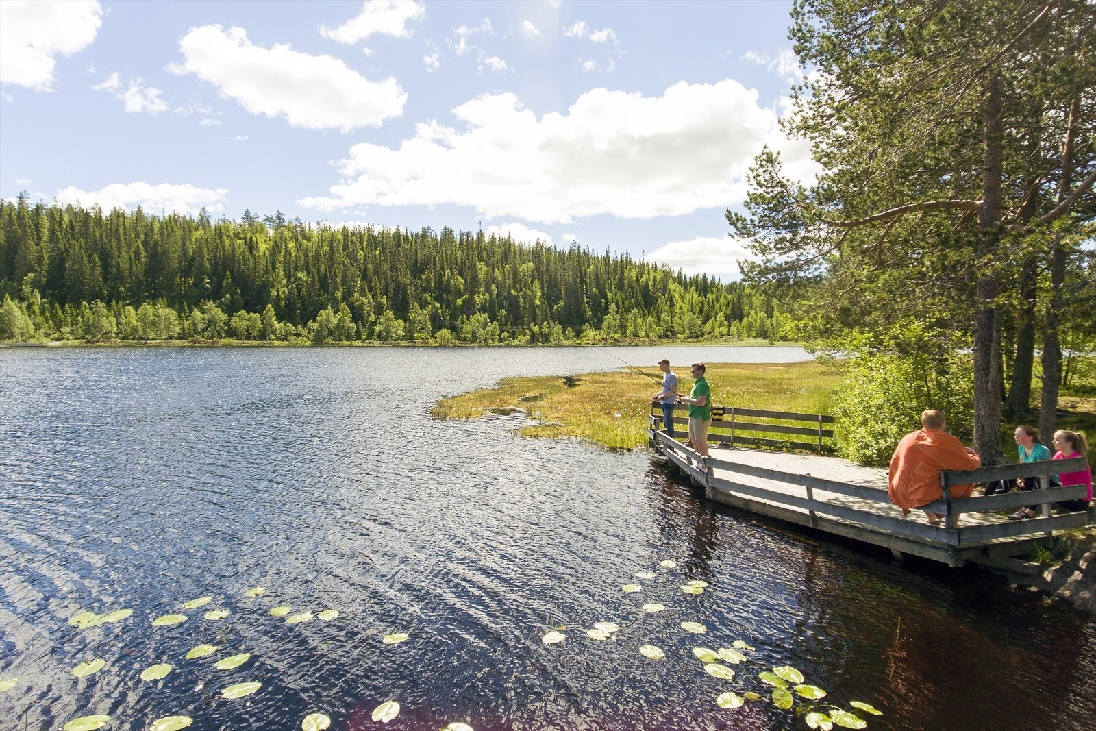Fiskelykken kan du også prøve :-) Galleribilde