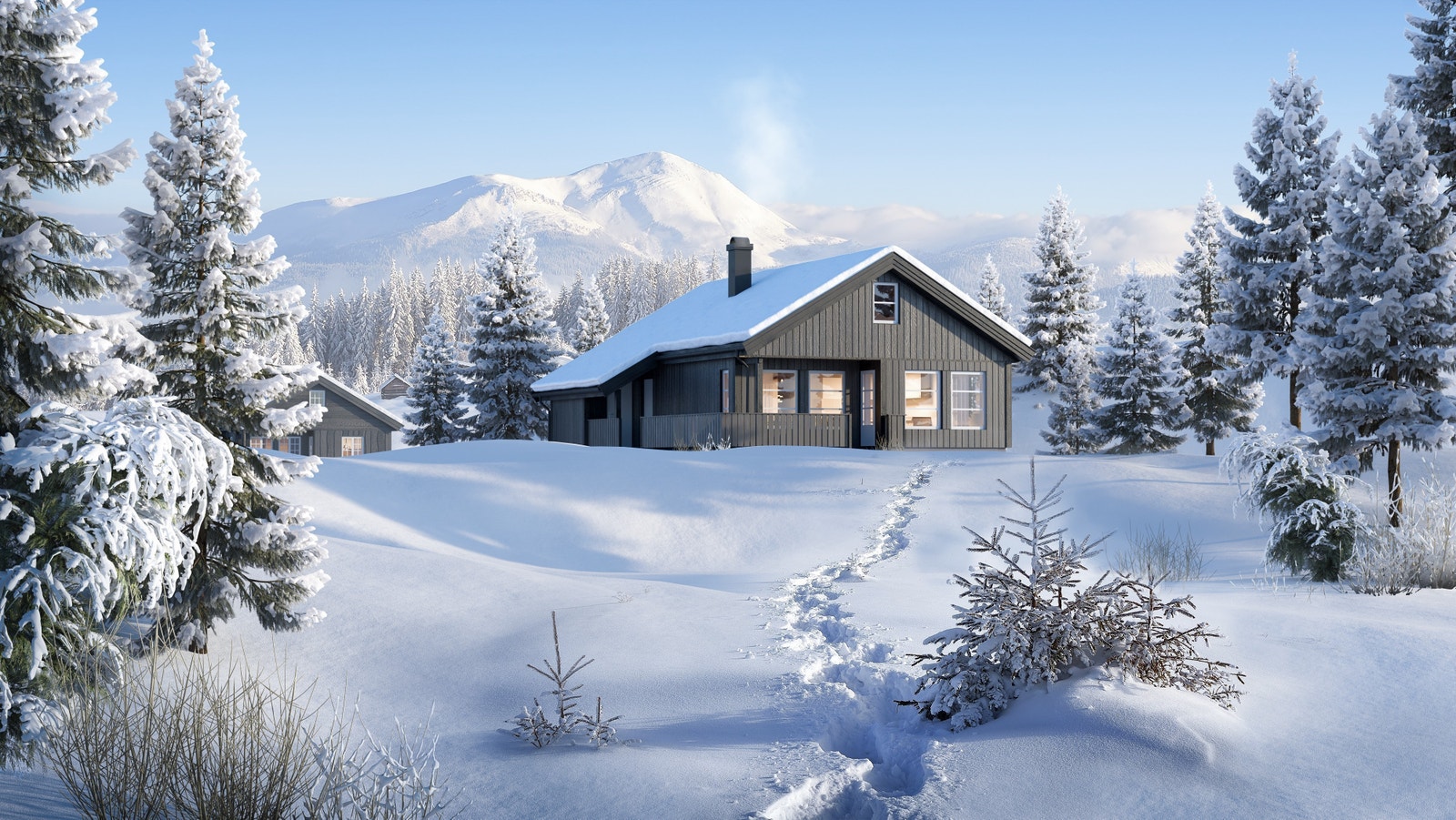 Furutangen fra Familiehytta Galleribilde