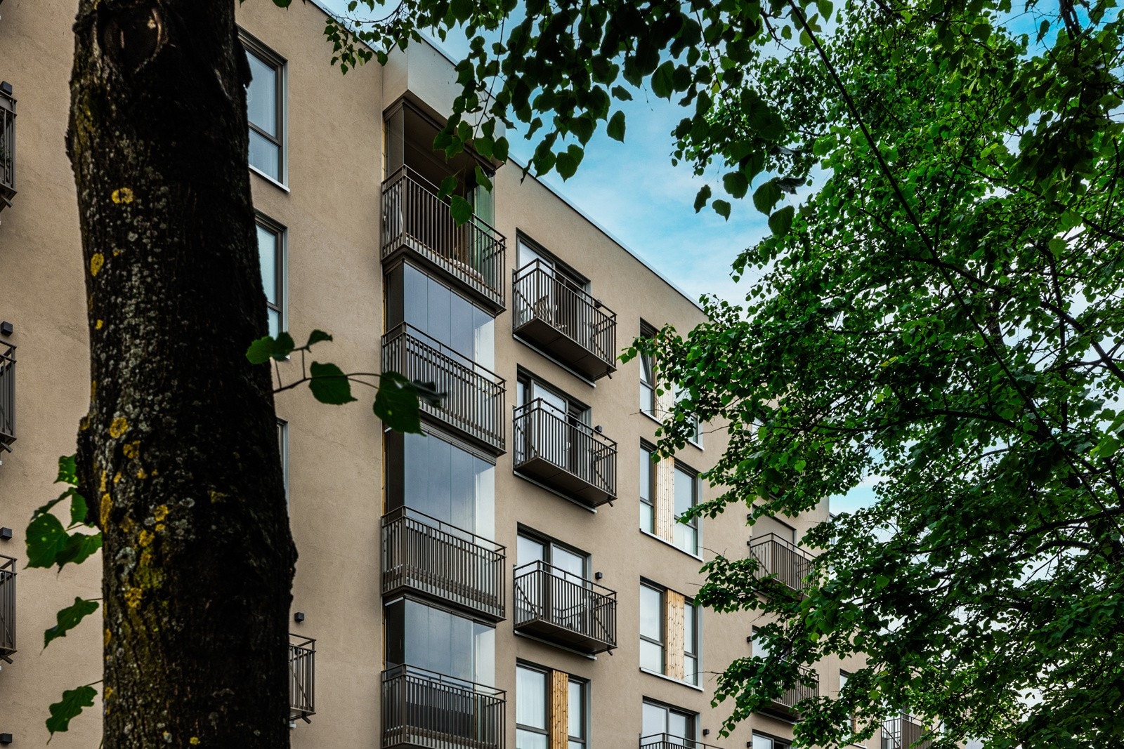 Velkommen til visning! Galleribilde