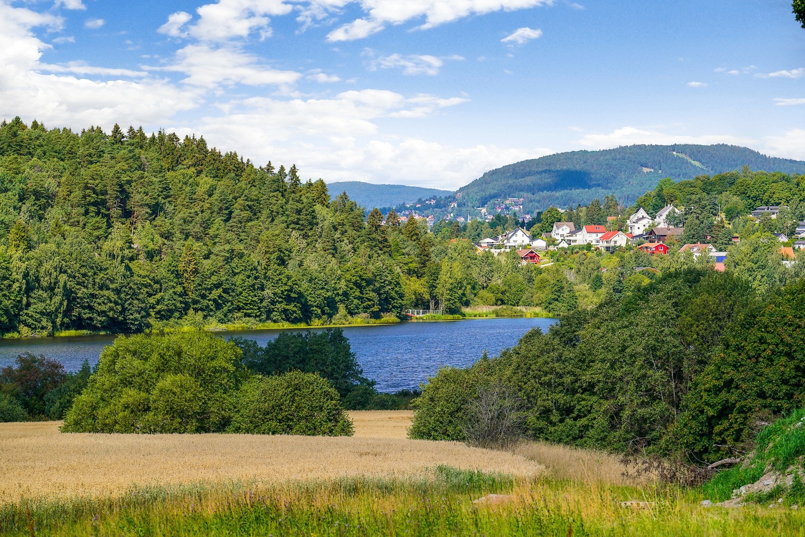 Nærhet til Østensjøvannet med fantastisk natur. Galleribilde
