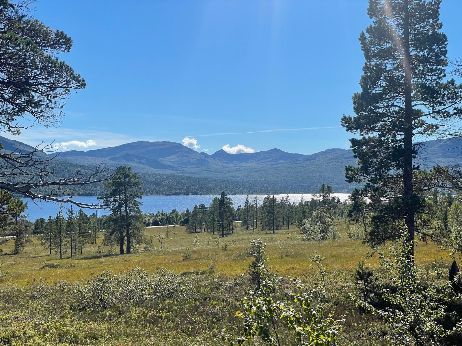 Bilde fra tomt Galleribilde