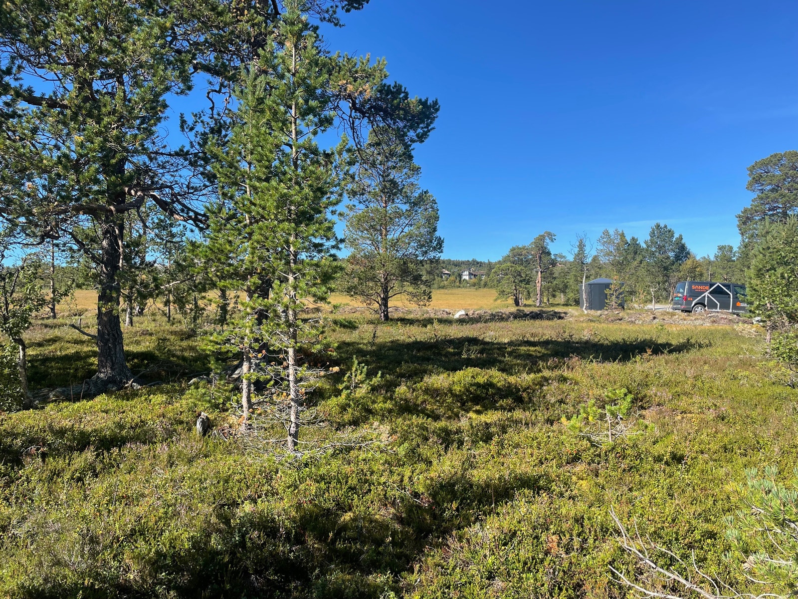 Bilde fra tomt Galleribilde