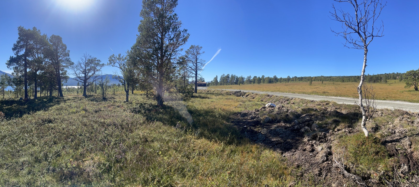 Bilde fra tomt Galleribilde